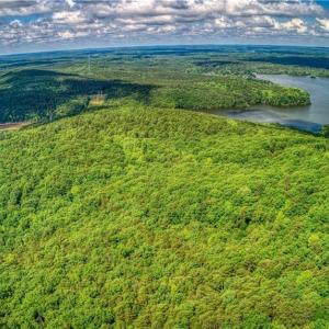 Photo #6 of 196 Sierra Trace, Denton, NC 7.6 acres