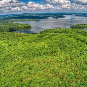 Photo #7 of 196 Sierra Trace, Denton, NC 7.6 acres