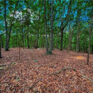 Photo #9 of 196 Sierra Trace, Denton, NC 7.6 acres