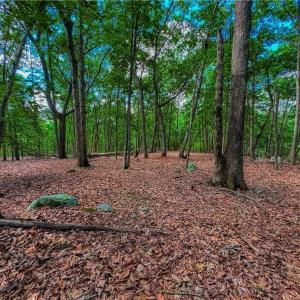 Photo #10 of 196 Sierra Trace, Denton, NC 7.6 acres