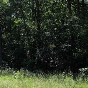 Photo #2 of 7220 East Fork, High Point, NC 0.4 acres