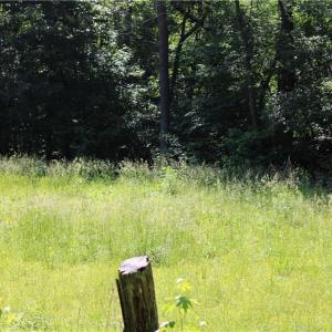 Photo #1 of 7220 East Fork, High Point, NC 0.4 acres