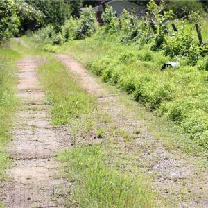 Photo #4 of 7220 East Fork, High Point, NC 0.4 acres