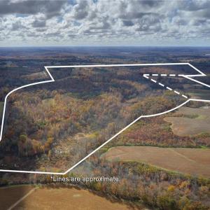 Photo #7 of 7782/7785/7787/7787A Ferrin, Browns Summit, NC 618.0 acres