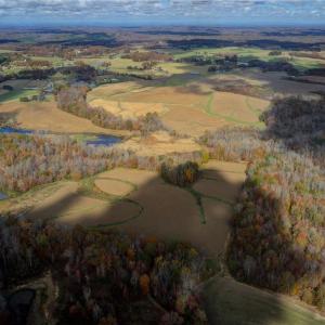 Photo #10 of 7782/7785/7787/7787A Ferrin, Browns Summit, NC 618.0 acres