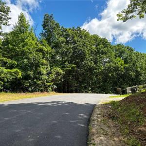 Photo #23 of Bear Trail, Cana, VA 11.0 acres