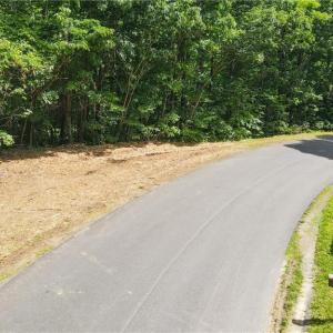Photo #2 of Bear Trail, Cana, VA 11.0 acres