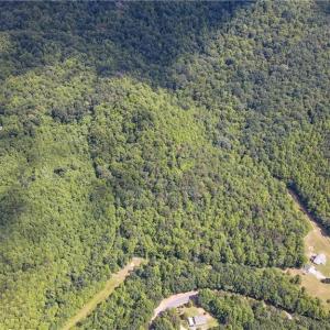 Photo #16 of Bear Trail, Cana, VA 11.0 acres