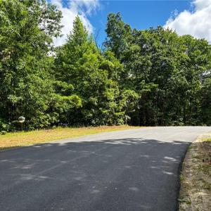 Photo #22 of Bear Trail, Cana, VA 11.0 acres