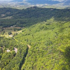 Photo #7 of Bear Trail, Cana, VA 11.0 acres