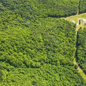 Photo #14 of Bear Trail, Cana, VA 11.0 acres