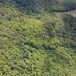 Photo #11 of Bear Trail, Cana, VA 11.0 acres