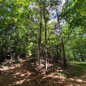 Photo #19 of Bear Trail, Cana, VA 11.0 acres