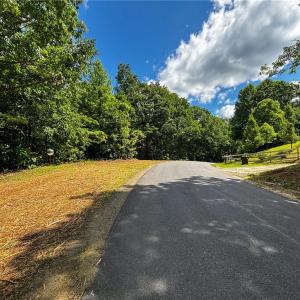 Photo #21 of Bear Trail, Cana, VA 11.0 acres