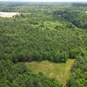 Southwestern view near tree clearing