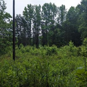 Photo #6 of Harper, Clemmons, NC 12.0 acres