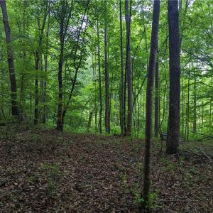 Photo #13 of Harper, Clemmons, NC 12.0 acres