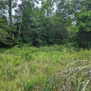 Photo #17 of Harper, Clemmons, NC 12.0 acres