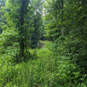 Photo #7 of Harper, Clemmons, NC 12.0 acres