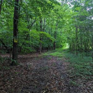 Photo #1 of Harper, Clemmons, NC 12.0 acres