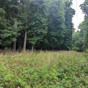 Photo #10 of Harper, Clemmons, NC 12.0 acres