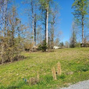 Photo #2 of Rising Sun, Franklinville, NC 0.3 acres