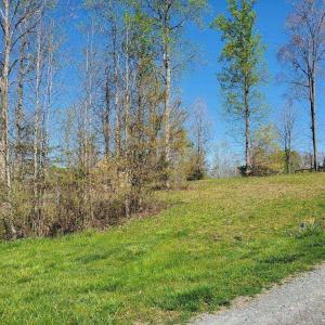 Photo #1 of Rising Sun, Franklinville, NC 0.3 acres