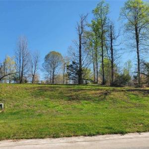 Photo #3 of Rising Sun, Franklinville, NC 0.3 acres