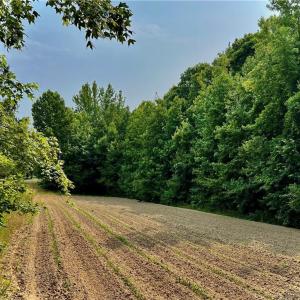 Photo #2 of 6638 Holts Store, Julian, NC 52.6 acres
