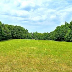 Photo #6 of 6638 Holts Store, Julian, NC 52.6 acres