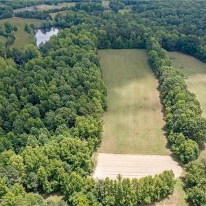 Photo #9 of 6638 Holts Store, Julian, NC 52.6 acres