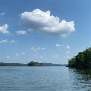 View from Dock