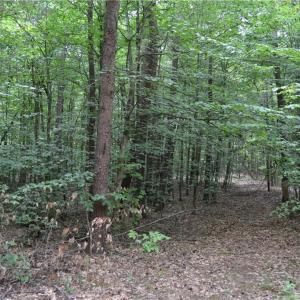 Photo #2 of Aaron, Madison, NC 1.6 acres