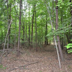 Photo #7 of Aaron, Madison, NC 1.6 acres