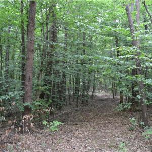 Photo #1 of Aaron, Madison, NC 1.6 acres