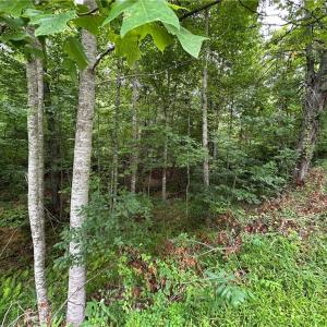 Photo #2 of TBD Fries Rd/Foxfire, Galax, VA 2.0 acres