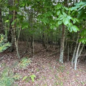 Photo #1 of TBD Live Oak Ln, Galax, VA 1.6 acres