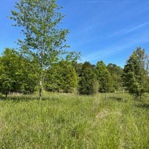 Photo #5 of 4000 OLD LEXINGTON, Winston-Salem, NC 50.1 acres