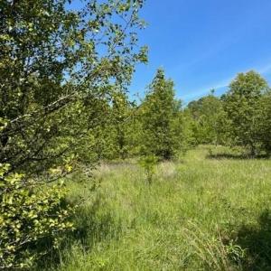 Photo #6 of 4000 OLD LEXINGTON, Winston-Salem, NC 50.1 acres