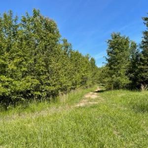 Photo #2 of 4000 OLD LEXINGTON, Winston-Salem, NC 50.1 acres