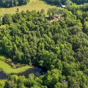 Photo #10 of High Rock, Efland, NC 2.0 acres