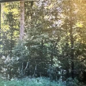 Photo #2 of Epps Clark, Siler City, NC 2.0 acres