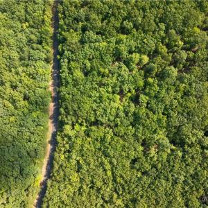 Photo #6 of 248 Sirocco, Denton, NC 1.7 acres