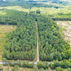 Photo #17 of 9849 Twisted Oak, Snow Camp, NC 14.0 acres