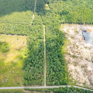 Photo #16 of 9849 Twisted Oak, Snow Camp, NC 14.0 acres