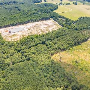 Photo #12 of 9849 Twisted Oak, Snow Camp, NC 14.0 acres