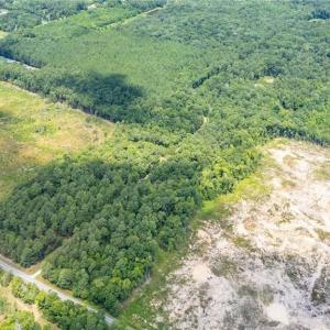 Photo #3 of 9849 Twisted Oak, Snow Camp, NC 14.0 acres