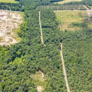 Photo #9 of 9849 Twisted Oak, Snow Camp, NC 14.0 acres
