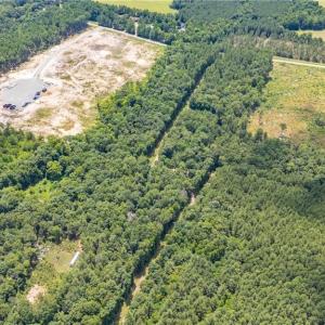 Photo #10 of 9849 Twisted Oak, Snow Camp, NC 14.0 acres