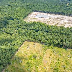 Photo #14 of 9849 Twisted Oak, Snow Camp, NC 14.0 acres